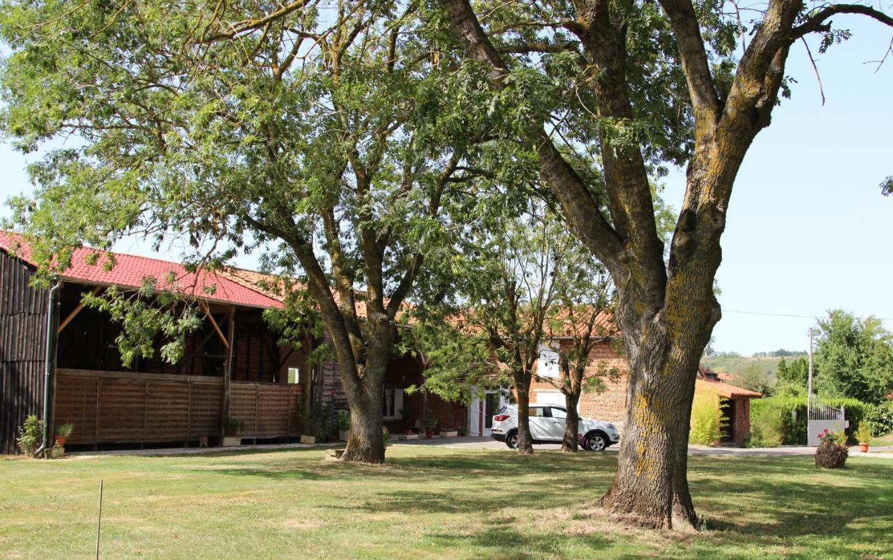 Ferme Aquinaut - Le Paradis Montesquieu-Volvestre Exterior foto
