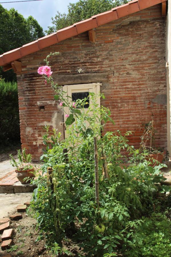 Ferme Aquinaut - Le Paradis Montesquieu-Volvestre Exterior foto